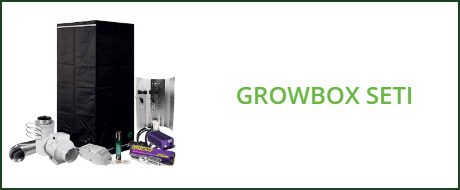 growbox-seti